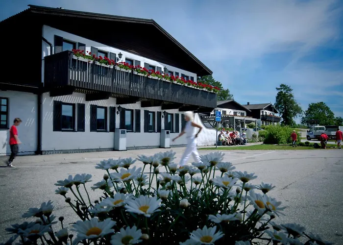 Rasta Håby